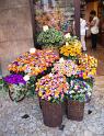 IMG_1145 copy